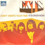 The Cats, 'Don't Waste Your Time'