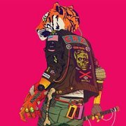CRX, 'New Skin'