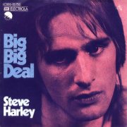 Steve Harley, 'Big Big Deal'