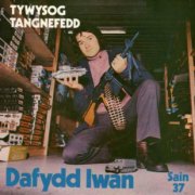 Dafydd Iwan, 'Tywysog Tangnefedd'