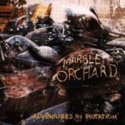 Marble Orchard, 'Adventures in Mutation'