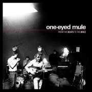 One-Eyed Mule, 'From the Beats to the Bible'