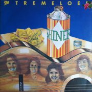 Tremeloes, 'Shiner'