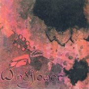 Windflower, 'Windflower'